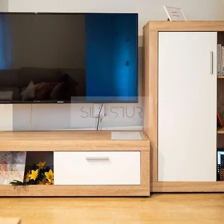 Apartamento Cajal By Silastur