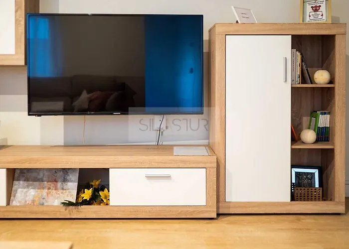 Apartamento Cajal By Silastur